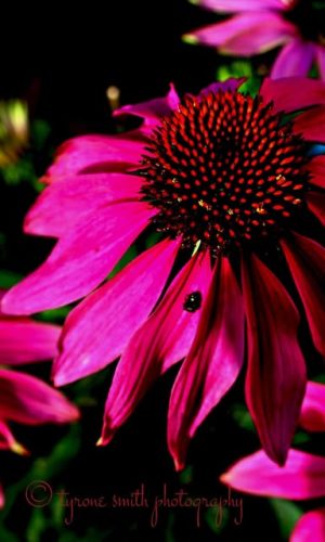 125793583_10218394773201144_3778633073817309482_n