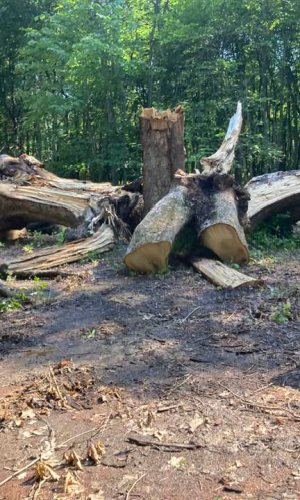 499792224_10160917636972540_7969374360647043019_n