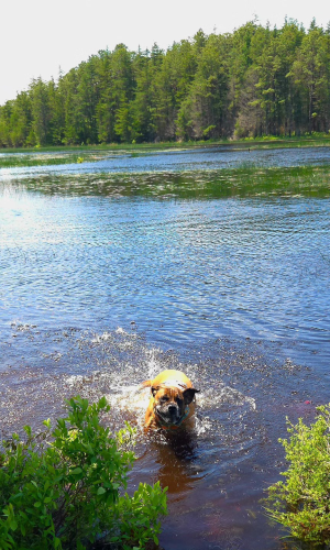 499812695_9813623395381154_3878597732460123287_n